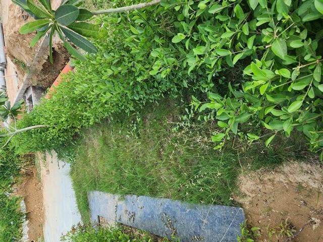 JMS The Pearl 131 Sq. Yd. Plot in Sector 95 Gurgaon Listing ID: #10228