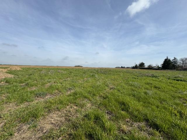 Jumelles Vente Terrain 27