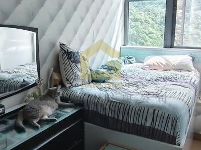 峻弦