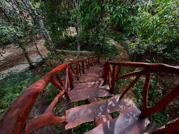Jungle house de 3 recámaras en RENTA en Tulum
