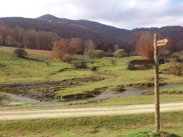 Juangoxenea Basaburua Navarra