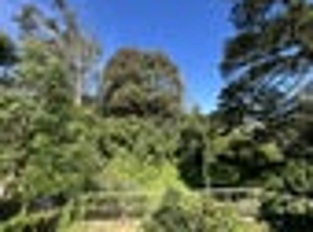Judea, 3 bedrooms, $580 pw