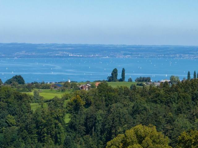 Jugendstil Stadtvilla mit grossem Park und Seesicht | dreamo. Ch