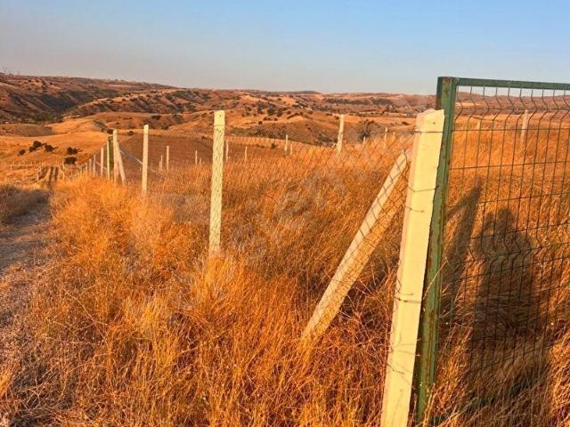 JÜPİTER GAYRİMENKUL'DEN ALTYAPISI HAZIR TEL ÖRGÜ İLE ÇEVRİLİ 250 m HOBİ BAHÇESİ