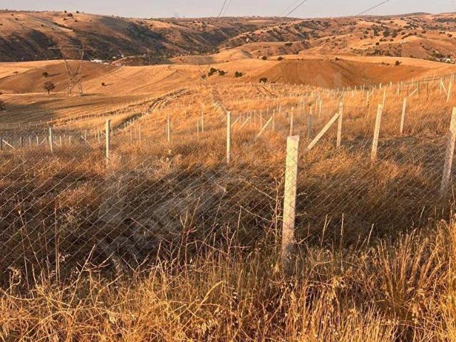 JÜPİTER GAYRİMENKUL'DEN ALTYAPISI HAZIR TEL ÖRGÜ İLE ÇEVRİLİ 250 m HOBİ BAHÇESİ