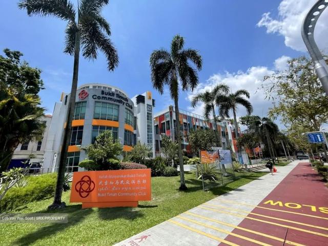 Jurong Park D21, Detached
