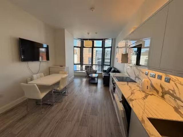 Cozy Apartment 11, Castlewood Lofts, 40a Castlewood Av, Rathm.