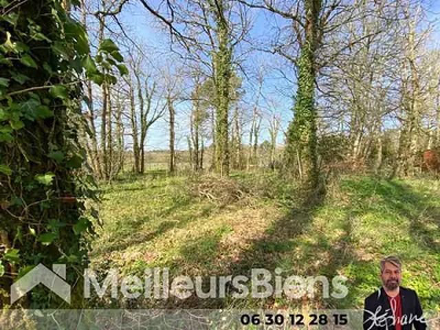 Jussas 17130 Achat / Vente terrain