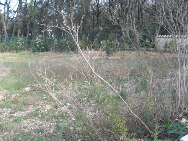 Juvignac Vente Terrain 34