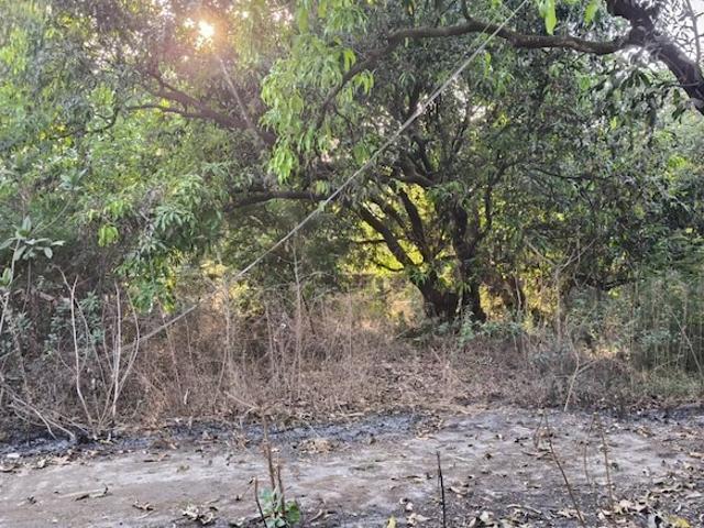 JVM Tiara 47000 Sq.Ft. Plot in Thane West Thane Listing ID: #10325