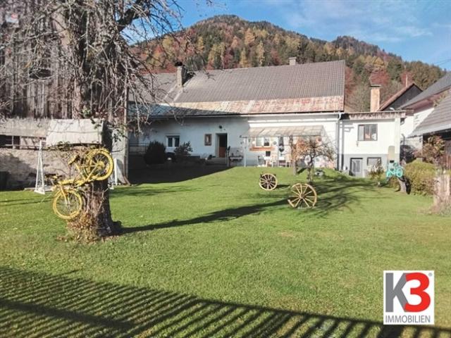 K3 Einfamilienhaus mit Einliegerwohnung, grossem Garten und Tenne