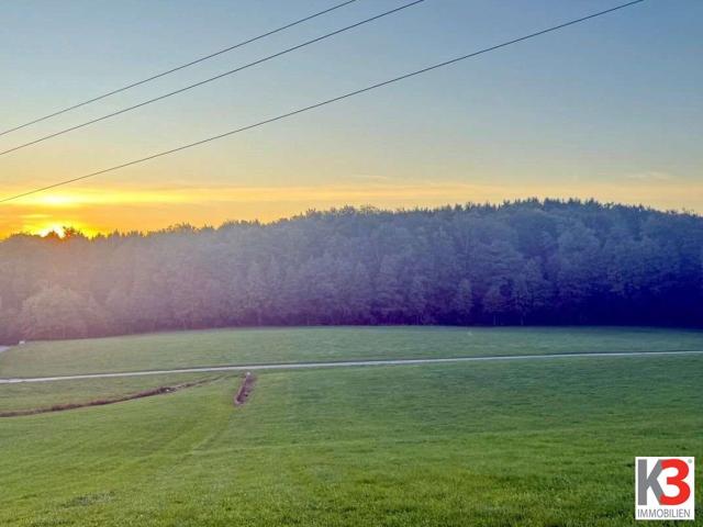 k3 Hallwang Traumhafte Bauparzelle in Sonniger Ruhelage mit Dorfanschluss zu Kaufen