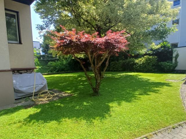K3 Salzburg Maxglan 2 Familienhaus mit 3 Garagen, Carport und wunderschönen, sonnigen Garten