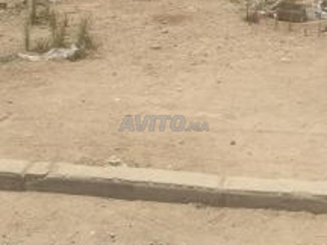 كين 2 بلانات فحي راقي و جميل بتمن جد مناسب