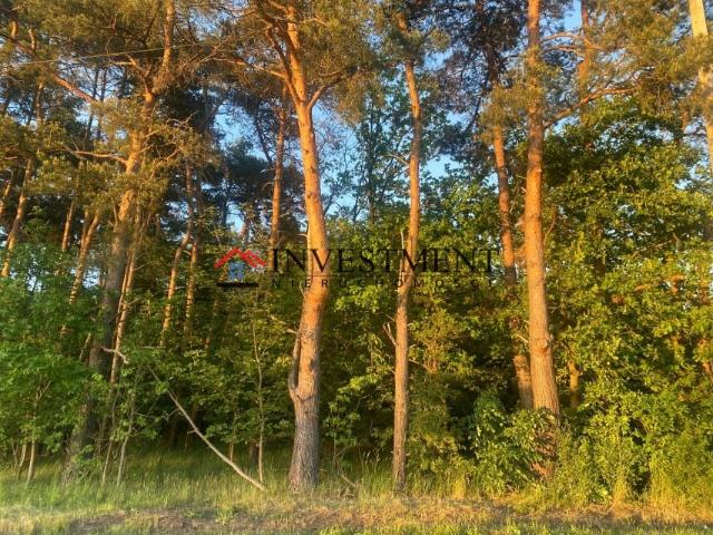 Kłodnicka 1 600 m², Kędzierzyn Koźle