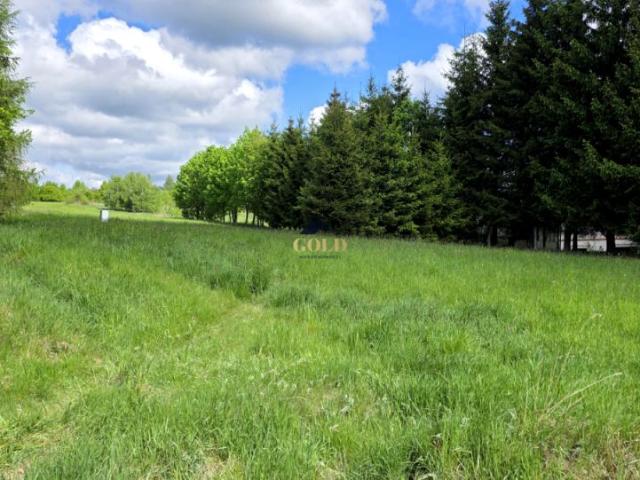 Kłodzka 1 025 m², Głuszyca Górna