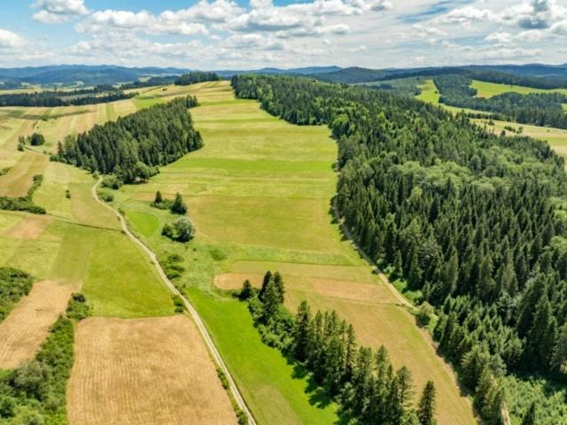 Kąciki 2 389 m², Niedzica