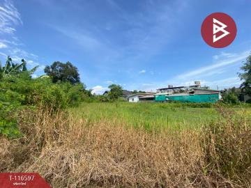 ขายที่ดิน เนื้อที่ 3 งาน 4.8 ตร.วา มะขามเตี้ย สุราษฎร์ธานี