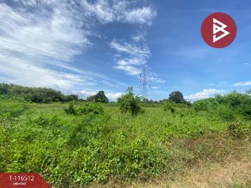 ขายที่ดิน เนื้อที่ 3 งาน 5.3 ตรวา มะขามเตี้ย สุราษฎร์ธานี