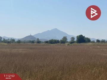 ขายที่ดิน เนื้อที่ 2 ไร่ โคกสำโรง ลพบุรี