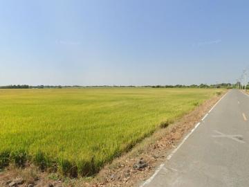 ขายที่ดินบางขวัญ เมืองฉะเชิงเทรา 62 ไร่ ใกล้วัดโพรงอากาศ 3 กม. ฉะเชิงเทรา
