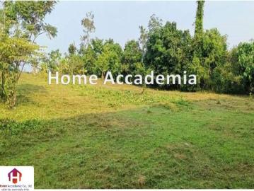 ขายที่ดิน หมู่5 ตำบลอ่าวนาง อำเภอเมือง จ.กระบี่ หลังตลาดนัดวันเสาร์คลองแห้ง