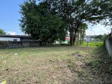 ขายที่ดินหน้าม.แม่โจ้ ติดถนน 8 เมตร 334 ตร.ว