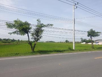 ขายที่ดิน ขนาด 29 ไร่ 1 งาน 32 ตร.ว. พุทธมณฑล จ.นครปฐม เหมาะสำหรับทำโครงการบ้านจัดสรร