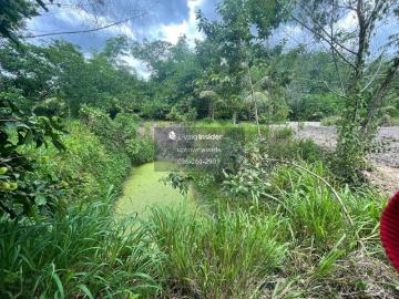 ขาย ที่ดินและบ้าน รัตภูมิ สงขลา 76/2 | Livinginsider
