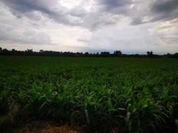 ขายที่ดินเปล่า 10 ไร่ ตำบลชัยบาดาล อำเภอชัยบาดาล จังหวัดลพบุรี