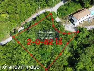 ขาย ที่ดินเปล่า 2 ไร่ บนเกาะสมุย | Livinginsider