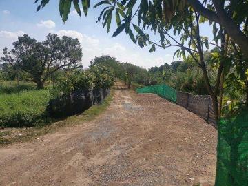 ขายที่ดินซอยวัดลาดปลาดุก เนื้อที่ 100 ตร.ว. ใกล้ รถไฟฟ้า MRT สายสีม่วงสถานีคลองบางไผ่ และใกล้แหล่งสาธารณูปโภค อ.บางบัวทอง จ.นนทบุรี
