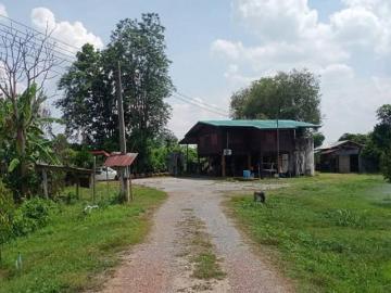 ขายที่ดินสวนทุเรียนจังแพร่ เหมาะเป็นพักอาศัย ทำสวน และซื้อเก็บ