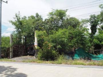 ขาย ที่ดิน ~ TP PT 0018 ~ คลอง 9 หนองเสือ ปทุมธานี 1 ไร่