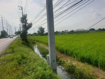 ขายที่ดิน 29 ไร่ 1 งาน 32 ตร.ว. พุทธมณฑล จ.นครปฐม