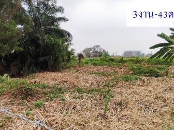 ขายที่ดิน 343 ตร.ว. คลอง9 ธัญบุรี ปทุม ที่ดินสวย น้ำไฟถึง คลังบ้าน.com