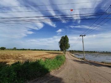 ขายที่นาราชสาสน์ 10 ไร่ ติดถนนติดคลอง ใกล้ถนนเส้น 3444 4 กม. บางคา จ.ฉะเชิงเทรา