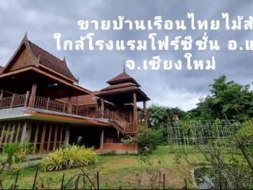ขายบ้านไม้สักทรงไทย ใกล้โรงแรมโฟว์ซีซั่น อ.แม่ริม เนื้อที่ 334 ตร.ว. ราคา 20 ล้าน คลังบ้าน.com