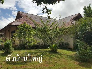 ขายบ้านสวนเชียงราย นางแล พร้อมที่ดินกว้าง 2 ไร่ 2 งาน อ.เมืองเชียงราย ใกล้ ถ.พหลโยธิน 1.8 กม. จากสนามบินเชียงราย 10 นาที ขายด่วน เจ้าของอยากขายคุยได้