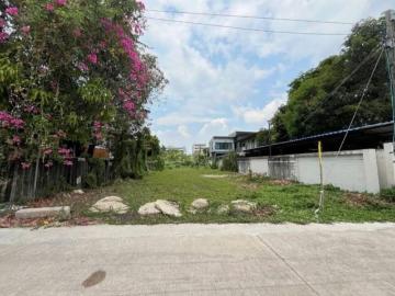 ขายด่วนที่ดิน 108 ตรว. ซอย งามวงศ์วาน 5 ใกล้แยกแคราย นนทบุรี