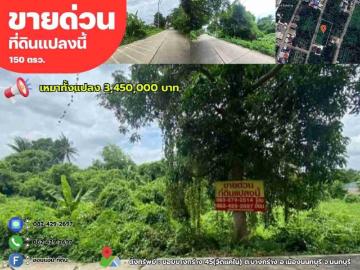 ขายด่วนที่ดิน 150 ตรว. ซอยบางกร่าง45 เมืองนนทบุรี จ.นนทบุรี รูปแปลงสวย ใกล้วัดแคใน