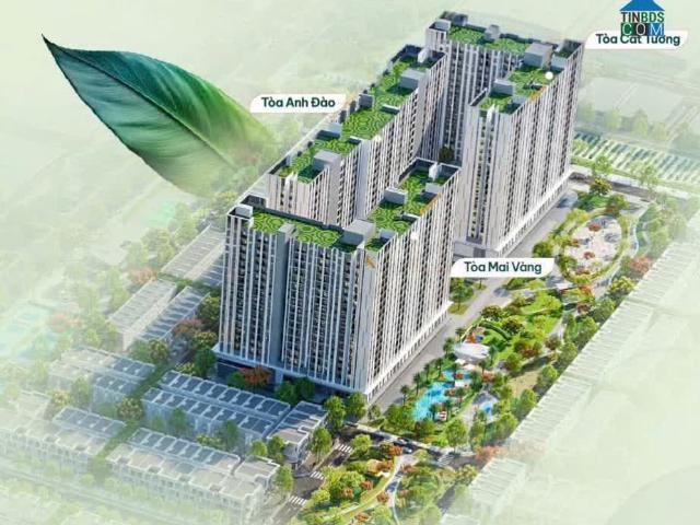 K Home Apartment 2PN – lựa chọn an cư và đầu tư thông minh chỉ 1,55 tỷ