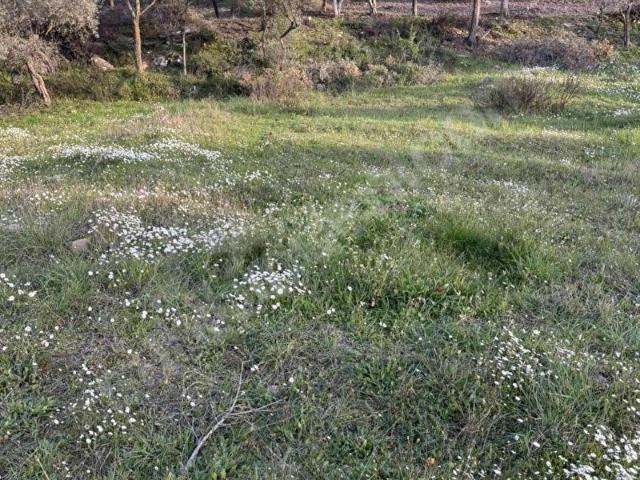 Kısırlar mahallesinde yatırımlık 430 m2 tarla