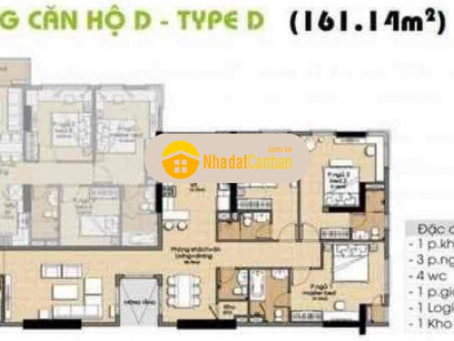Kẹt tiền bán gấp căn 161m 3pn 4wc giá siêu rẽ