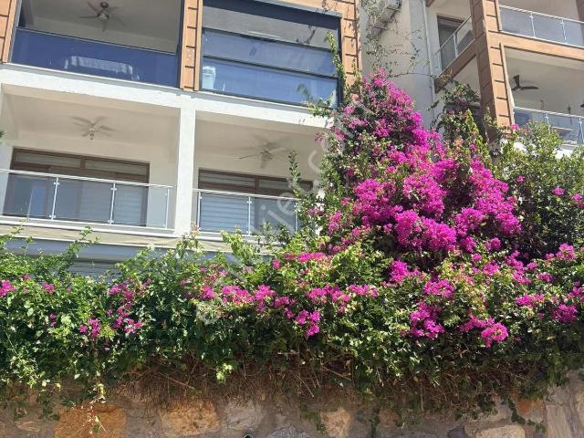 Kıyıkışlacık İssos Beach Club Da Kusursuz