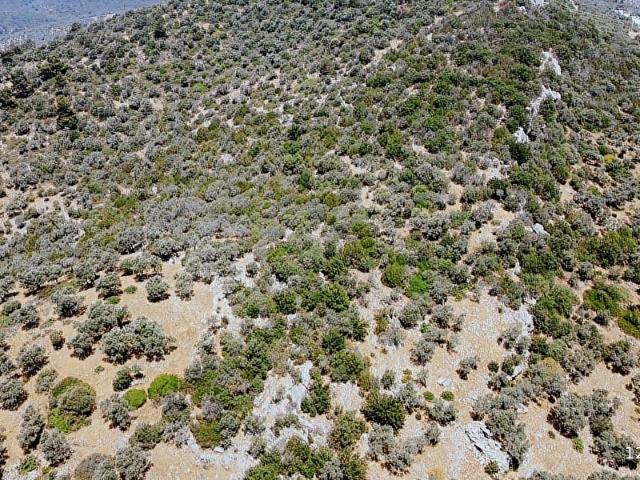 Kıyıkışlacık'ta Denize 300 Metre Yatırımlık 100 m2 Arazi