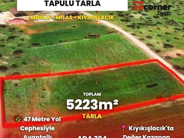 Kıyıkışlacık'ta 5.223 m 47 m Yol Cepheli Satılık Tarla