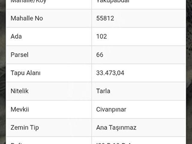 ÇKC GRUP'DAN YAKUP ABDALDA TELLE ÇEVRİLİ 301M2 BAHÇE