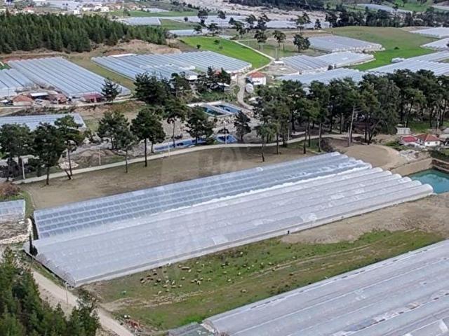 Kaş Dirgenlerde 6987 m2 Satılık Sera