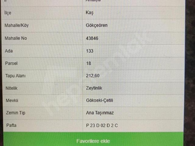 KAŞ GÖKÇEÖREN GÖKSEKİÇETİLİ MEVKİİNDE SATILIK ZEYTİNLİK